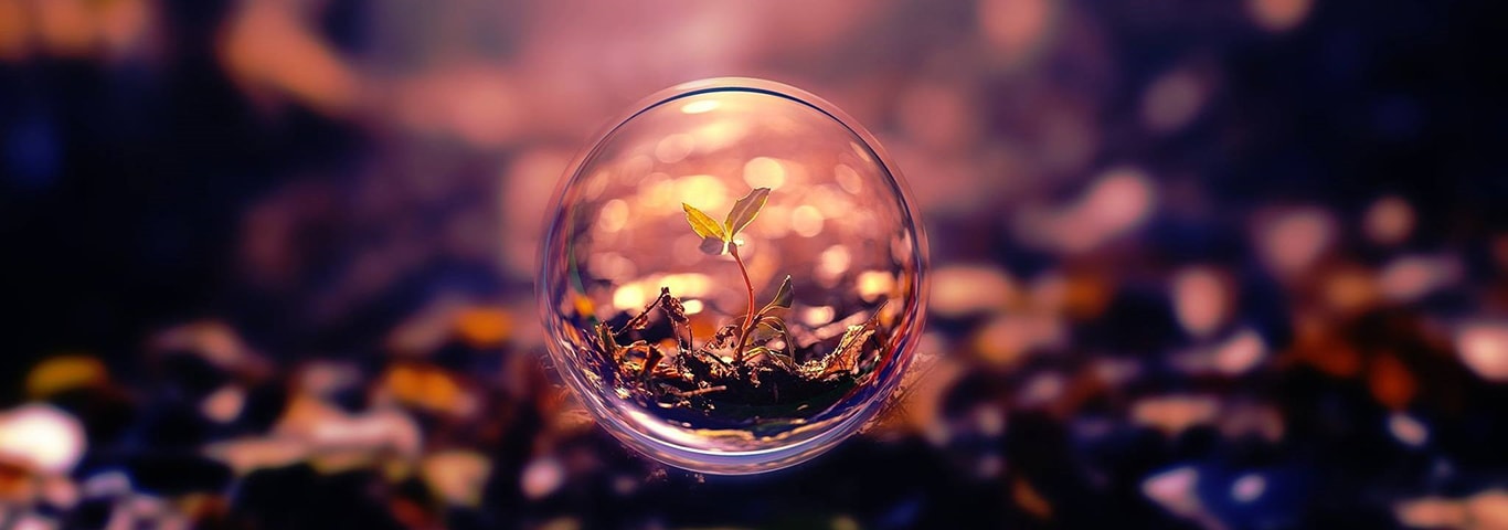 beautiful image