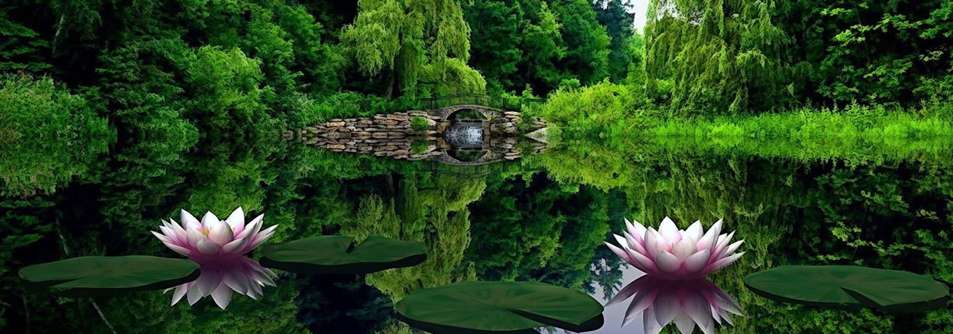 beautiful image