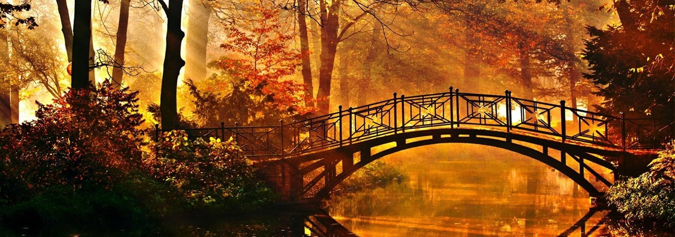beautiful image